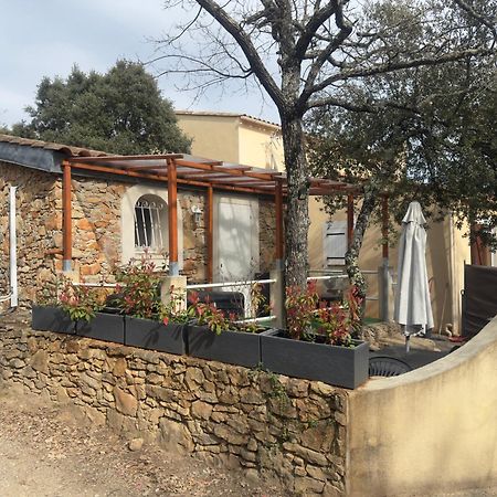 Votre Cocon En Pierre Et Son Spa En Option Gite Le Repos Des Chenes Régusse 외부 사진